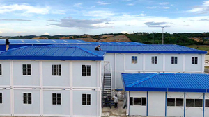 Case (17)